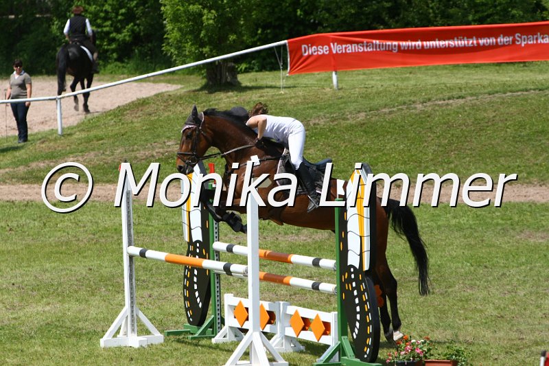 204M3615_African Music_Spring_L.JPG